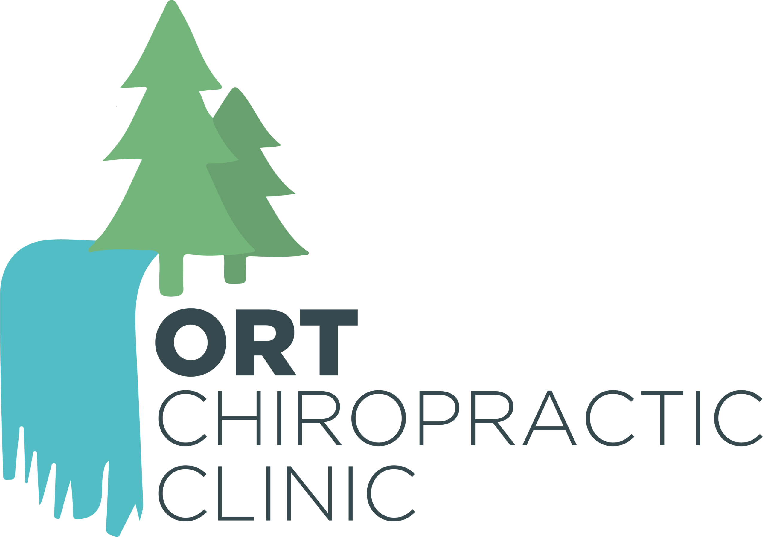 Ort Chiropractic Clinic